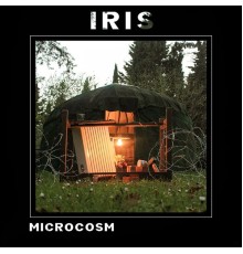 Iris - Microcosm