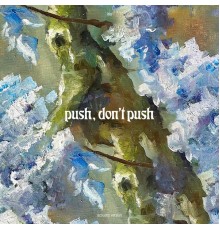 Iris - push, don't push (acoustic)