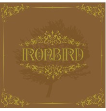 Ironbird - Ironbird