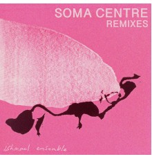 Ishmael Ensemble - Soma Centre Remixes