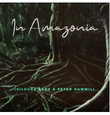 Isildurs Bane and Peter Hammill - In Amazonia
