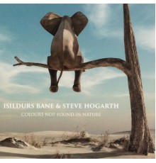 Isildurs Bane and Steve Hogarth - Colours Not Found in Nature