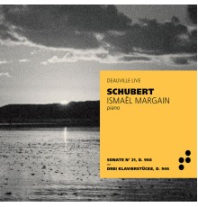 Ismaël Margain - Franz Schubert (Festival de Deauville, Live) (Live at Deauville)