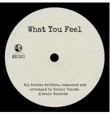 Israel Toledo - What You Feel