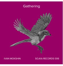 Ivan Mokshin - Gathering