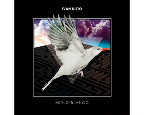 Ivan Nieto - Mirlo Blanco