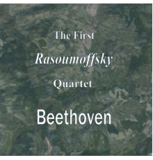 Ivan Sokolnikov - The First Rasoumoffsky Quartet