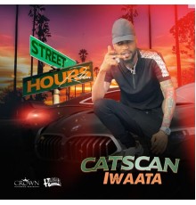 Iwaata - Catscan