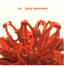 Izu - Going Salamander