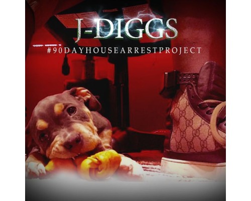 J-Diggs - #90DayHouseArrestProject