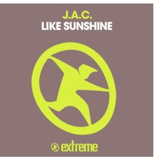 J.A.C. - Like Sunshine