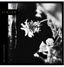 JINJER - Wallflowers