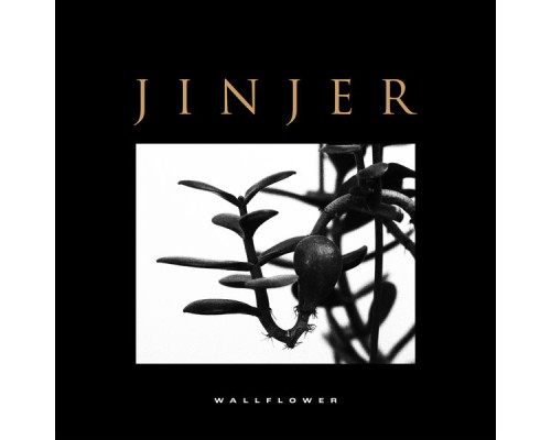 JINJER - Wallflower