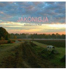 JaKönigJa - Emanzipation im Wald