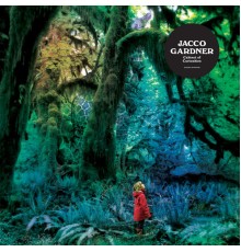 Jacco Gardner - Cabinet of Curiosities