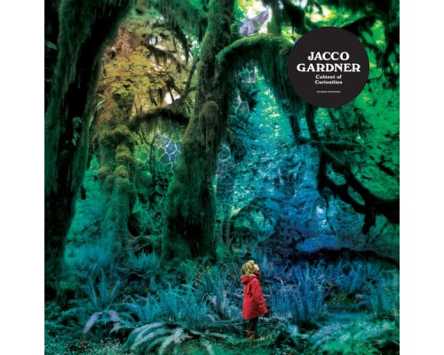 Jacco Gardner - Cabinet of Curiosities