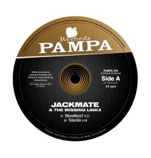 Jackmate & The Missing Linkx - Discodisco2