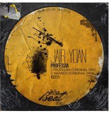 Jair Ydan - Professia