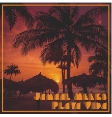 Jamaal Meeks - Playa Vida