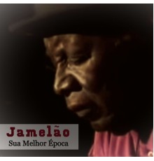 Jamelão - Sua Melhor Época