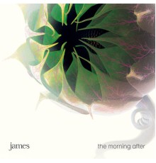 James - The Morning After