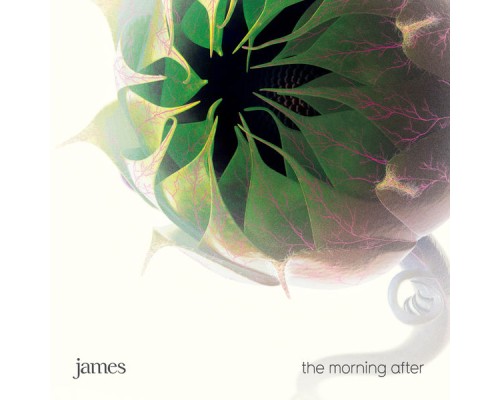 James - The Morning After