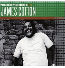 James Cotton - Vanguard Visionaries