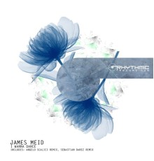 James Meid - I Wanna Dance