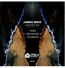 James Meid - Voices EP