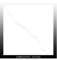 James Pants - Savage