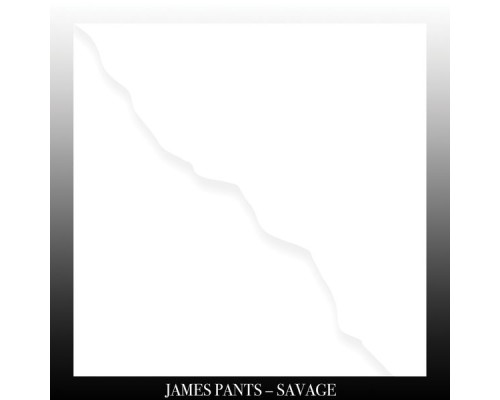 James Pants - Savage