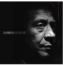 James Senese - James Senese