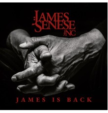 James Senese - James is back