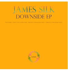 James Silk - Downside EP