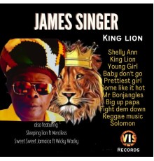 James Singer - King Lion