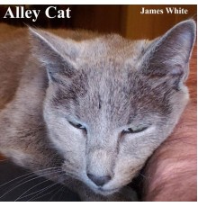 James White - Alley Cat