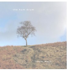 James Wood - The Hum Drum