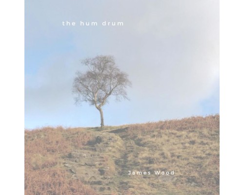 James Wood - The Hum Drum