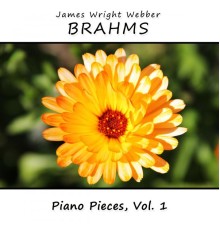 James Wright Webber - Brahms : Piano Pieces, Vol. 1