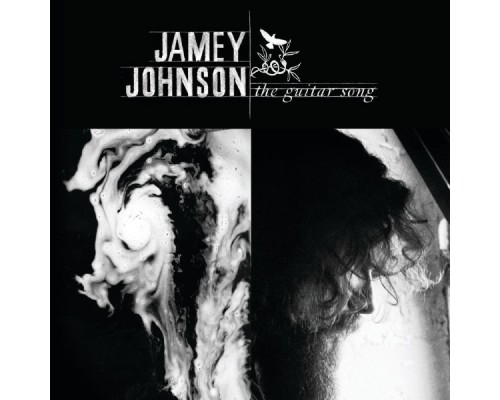 Jamey Johnson - The Guitar Song