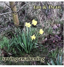 Jan & Dean - Spring Awakening