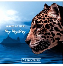 Jaques Le Noir - My Mistery