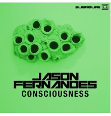 Jason Fernandes - Consciousness (Original Mix)