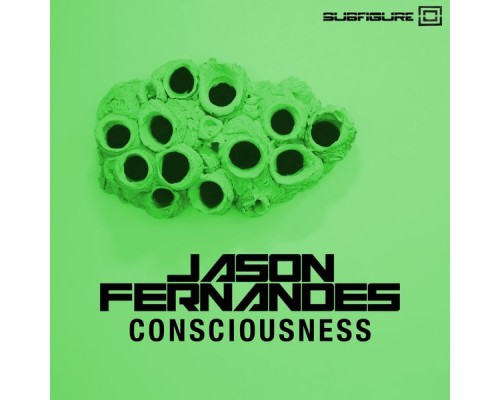 Jason Fernandes - Consciousness (Original Mix)