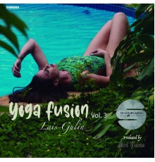 Javi Viana - Yoga Fusion, Vol. 3 LAIS GULIN (Original Mix)
