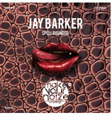 Jay Barker - Spell Bounded