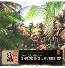 Jay Dunham - Shedding Layers