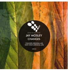 Jay Mosley - Changes (Original Mix)