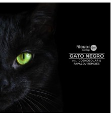 Jay Perlestein - Gato Negro