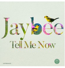 Jaybee - Tell Me Now EP